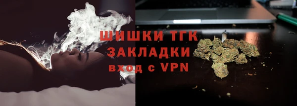 индика Балахна
