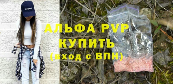 индика Балахна