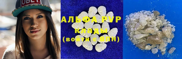 индика Балахна