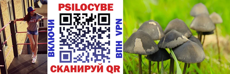 Галлюциногенные грибы Cubensis  shop состав  Белово 